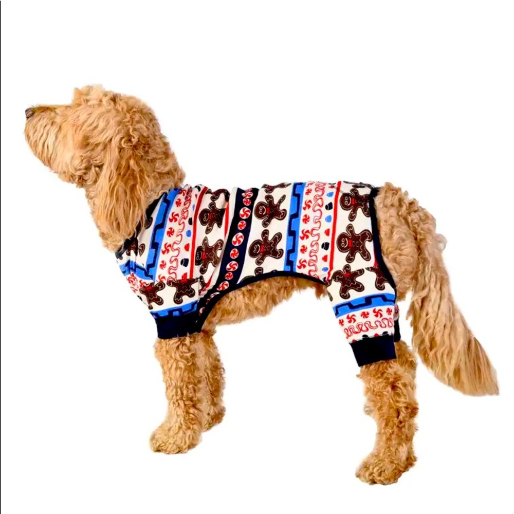 Dog Christmas onesie